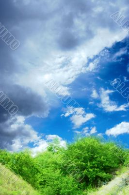  year landscape