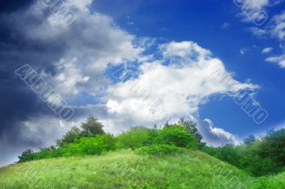  year landscape