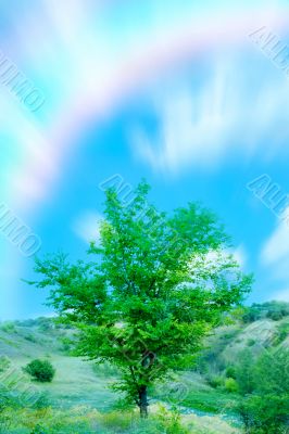  year landscape