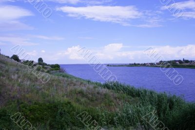  year landscape
