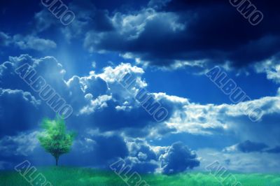  year landscape