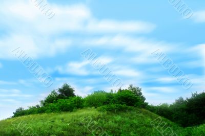  year landscape