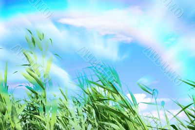  year landscape