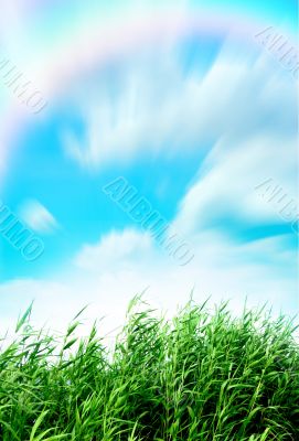  year landscape