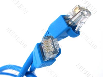 network cable