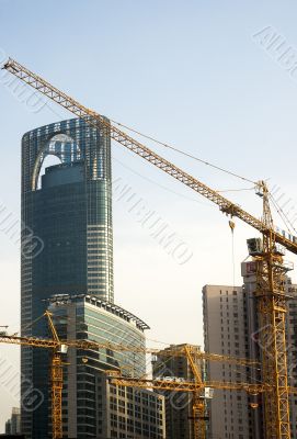 shanghai construction crane
