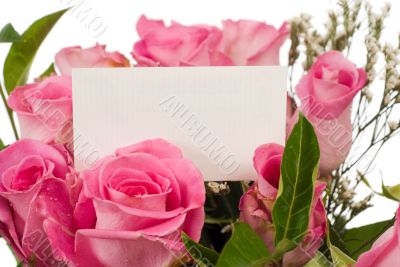 Roses and Message Card