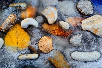 Beach in the winter