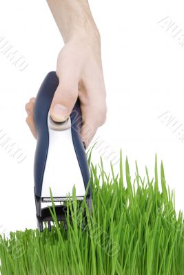 Cut grass