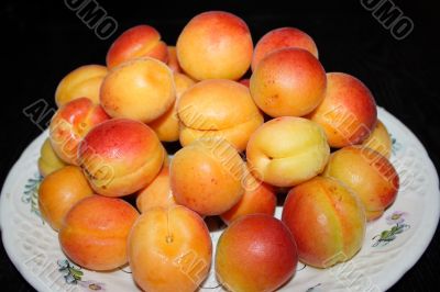 fresh apricot