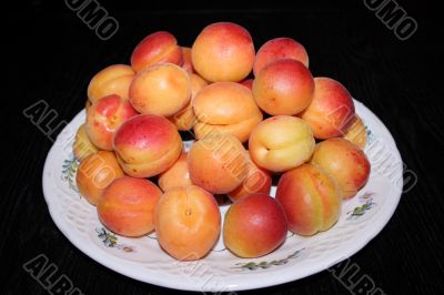fresh apricot