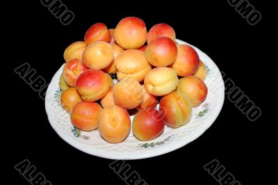 fresh apricot