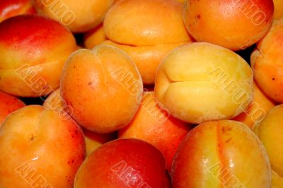 fresh apricot