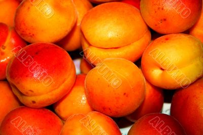 fresh apricot