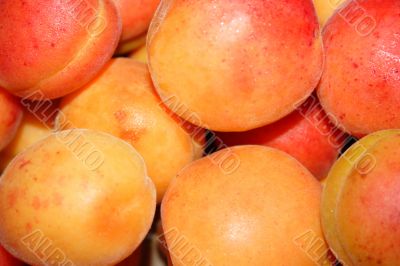 ripe apricot