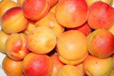 ripe apricot