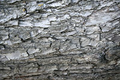 pattern and texture