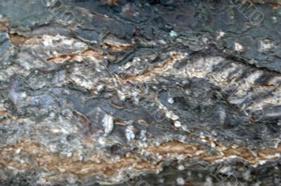 pattern and texture