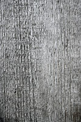 pattern and texture