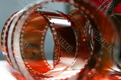 colour photographic film