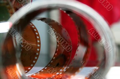 colour photographic film