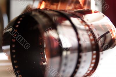colour photographic film