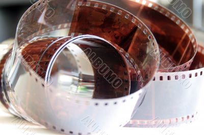 colour photographic film