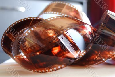 colour photographic film