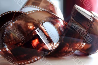 colour photographic film