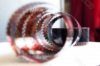 colour photographic film