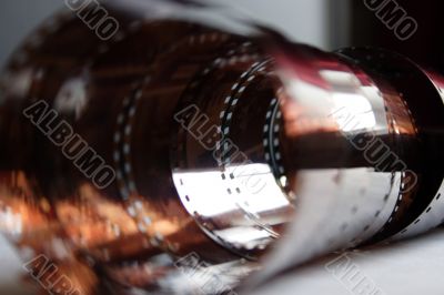 colour photographic film