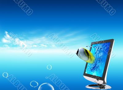 Fish and screen