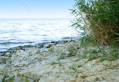 sea beach
