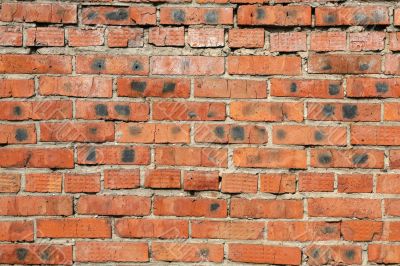 Brick wall