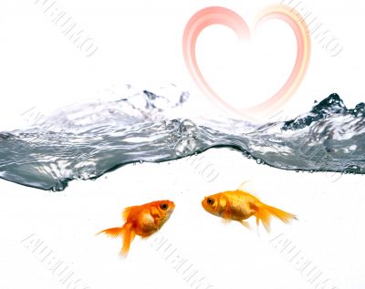 Golden fishes