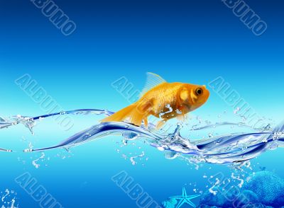 Golden fish