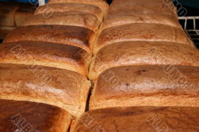 Casual bread loaves