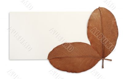 Envelope with magnolia leaves