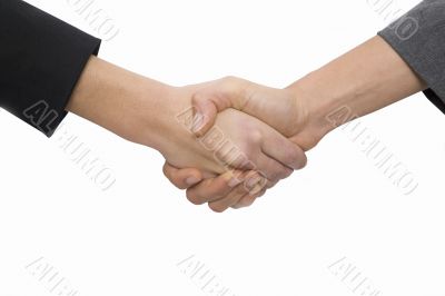 Female Handshake