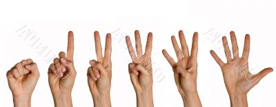 Counting fingers