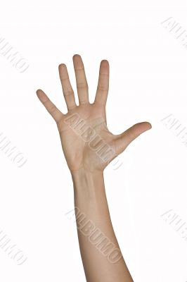 Counting fingers