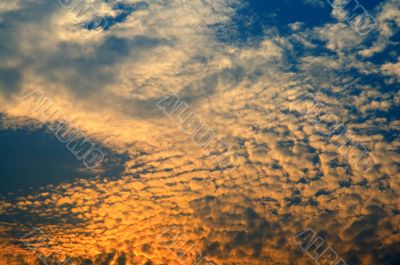 Fluffy sky