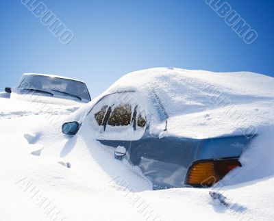 winter cars