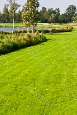 Green lawn with table