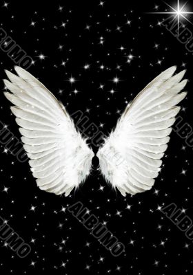 Angel wings