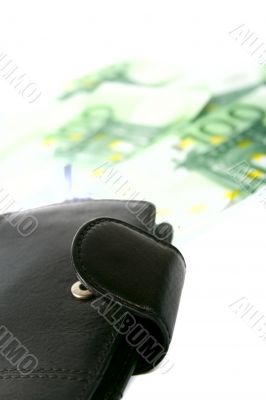 leather purse and euro