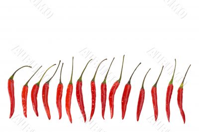 chili
