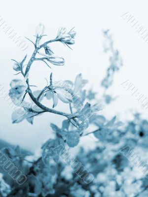 Swirling flower
