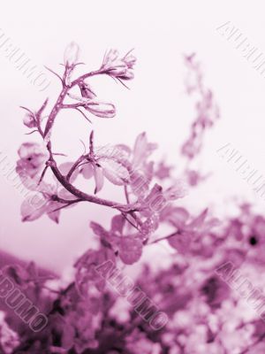 Swirling flower