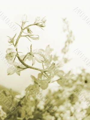 Swirling flower